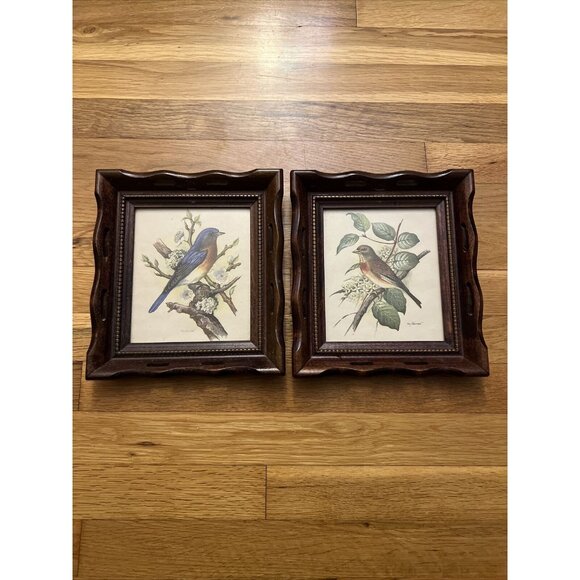 Vintage Wood/Scallop Framed Bird Ornithology Prints Ph. Gommer Bluebird/Female - Picture 1 of 9